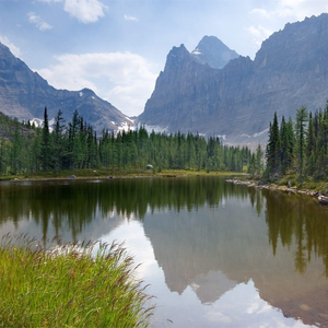 国产好大粗一区二区视频

